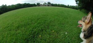 Take it easy Tuesday